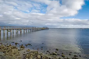 26 Ridgecroft Ln, Safety Harbor, FL 34695 - Photo 46