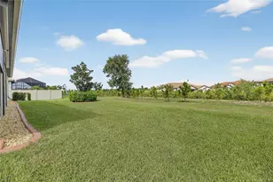 5319 Windy Grv Dr, Wimauma, FL 33598 - Photo 50