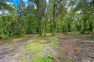 1635 Robin St, Auburndale, FL 33823 - Photo 24