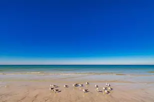 1460 Gulf Blvd, Clearwater Beach, FL 33767 - Photo 52