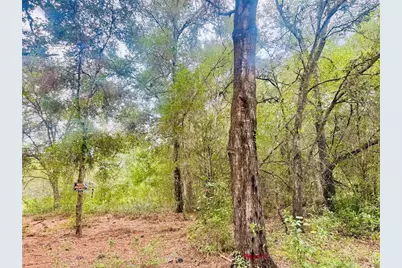 2203 Adams Street, Inverness, FL 34453 - Photo 2