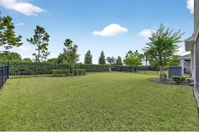 5534 Silver Sun Drive, Apollo Beach, FL 33572 - Photo 48