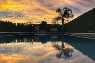 5709 white Trillium Loop, Land O Lakes, FL 34639 - Photo 4