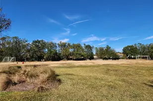 5709 white Trillium Loop, Land O Lakes, FL 34639 - Photo 48