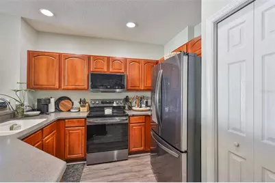 20484 Needletree Drive, Tampa, FL 33647 - Photo 20