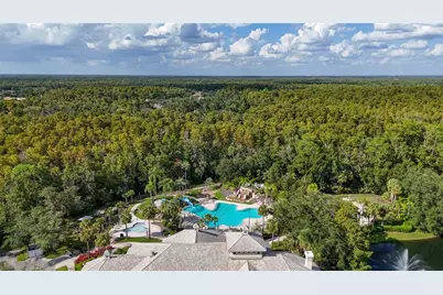 17317 Emerald Chase Drive, Tampa, FL 33647 - Photo 48