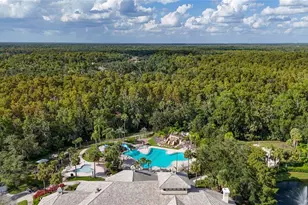 17317 Emerald Chase Dr, Tampa, FL 33647 - Photo 48