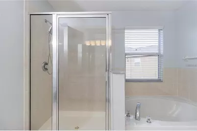 17533 Stinchar Drive, Land O Lakes, FL 34638 - Photo 22