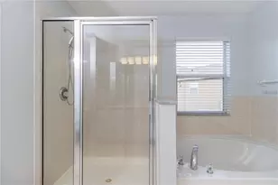 17533 Stinchar Dr, Land O Lakes, FL 34638 - Photo 22