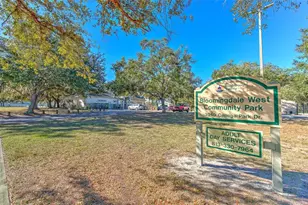 3904 Sweetleaf Dr, Brandon, FL 33511 - Photo 60