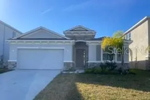222 Mangrove Manor Dr, Apollo Beach, FL 33572 - Photo 1