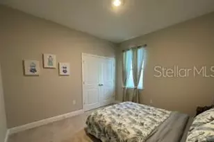 222 Mangrove Manor Dr, Apollo Beach, FL 33572 - Photo 8