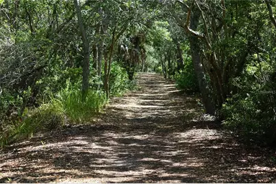 6450 Shoreline Drive #9405, Saint Petersburg, FL 33708 - Photo 30