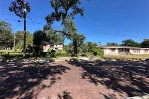 418 E Emily St, Tampa, FL 33603 - Photo 32