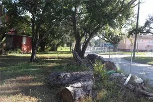 414 E Emily & 167408-0000 St, Tampa, FL 33603 - Photo 24