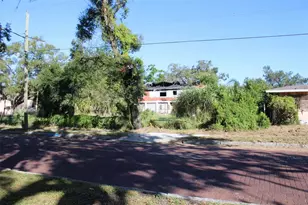 414 E Emily & 167408-0000 St, Tampa, FL 33603 - Photo 50