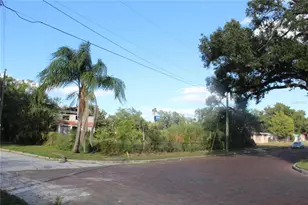 414 E Emily & 167408-0000 St, Tampa, FL 33603 - Photo 18