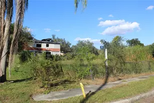 414 E Emily St, Tampa, FL 33603 - Photo 28