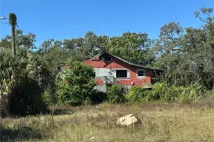 414 E Emily St, Tampa, FL 33603 - Photo 36