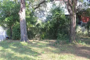 414 & 418 E Emily + 167408-0000 St, Tampa, FL 33603 - Photo 40