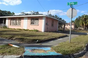 414 & 418 E Emily + 167408-0000 St, Tampa, FL 33603 - Photo 10