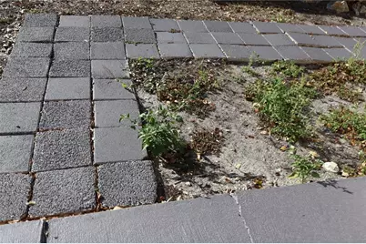 4732 W Lawn Avenue, Tampa, FL 33611 - Photo 28