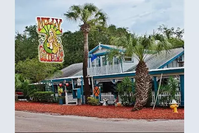 557 Florida Avenue, Palm Harbor, FL 34683 - Photo 36