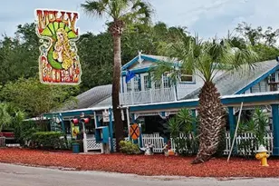 557 Florida Ave, Palm Harbor, FL 34683 - Photo 36