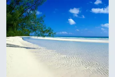 557 Florida Avenue, Palm Harbor, FL 34683 - Photo 26