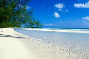 557 Florida Ave, Palm Harbor, FL 34683 - Photo 26