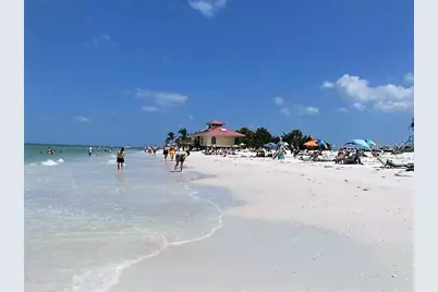 557 Florida Avenue, Palm Harbor, FL 34683 - Photo 28