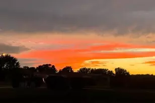 8472 Maybelle Dr, Weeki Wachee, FL 34613 - Photo 44