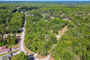 10005 N Ocean Dr, Citrus Springs, FL 34434 - Photo 68