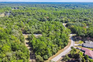 10005 N Ocean Dr, Citrus Springs, FL 34434 - Photo 66