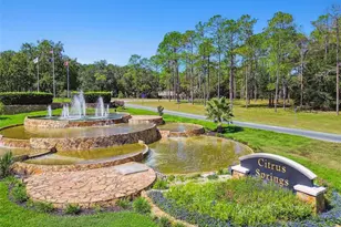 10005 N Ocean Dr, Citrus Springs, FL 34434 - Photo 2