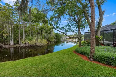 3126 Harvest Moon Drive, Palm Harbor, FL 34683 - Photo 38