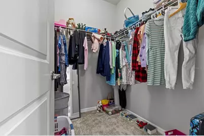 19270 Briarbrook Drive, Tampa, FL 33647 - Photo 54