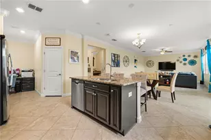 12041 Cardinal Flower Dr, Riverview, FL 33579 - Photo 6