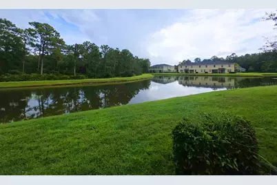 20439 Berrywood Lane, Tampa, FL 33647 - Photo 12