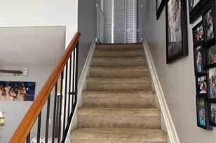 5102 Crestmore Ct, Tampa, FL 33624 - Photo 12