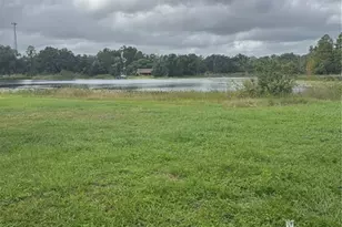 18208 State Rd 52, Land O Lakes, FL 34638 - Photo 30