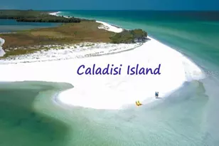 240 Whisper Lake Rd, Palm Harbor, FL 34683 - Photo 44