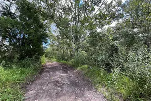 Fuller Ave, New Port Richey, FL 34654 - Photo 1