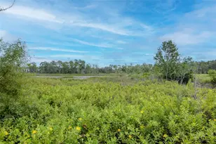 2260 Derwent Dr, Davenport, FL 33896 - Photo 44