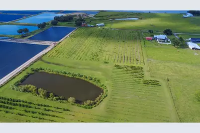 Blanton Acres Road, Plant City, FL 33565 - Photo 6