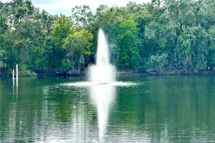 2725 14th Ct, Palm Harbor, FL 34684 - Photo 50