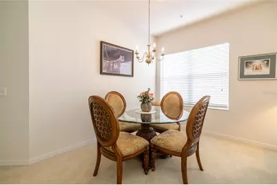 21008 Sunpoint Way #203, Lutz, FL 33558 - Photo 14