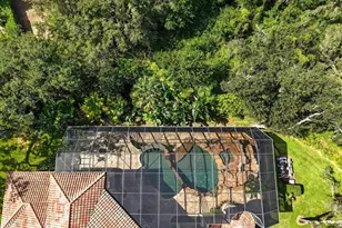 16220 Ternglade Dr, Lithia, FL 33547 - Photo 86