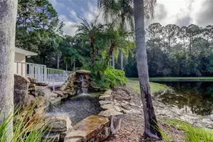 4409 Connery Ct, Palm Harbor, FL 34685 - Photo 62