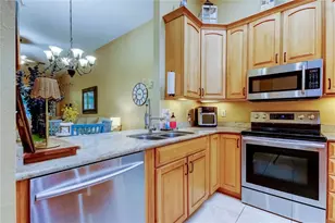 4409 Connery Ct, Palm Harbor, FL 34685 - Photo 20